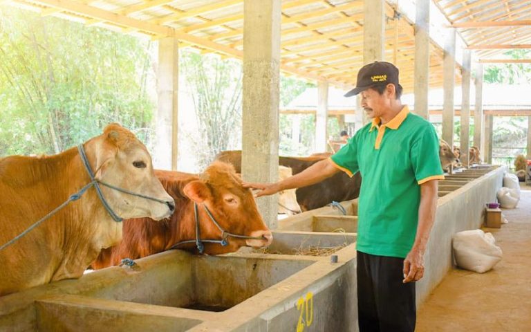 Membangun Kesadaran dan Partisipasi Masyarakat dalam Amal Kurban