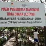 biodiversity dalam menjaga keseimbangan ekosistem