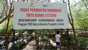 biodiversity dalam menjaga keseimbangan ekosistem