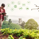 Pertanian modern menggunakan drone untuk efisiensi dan keberlanjutan, meningkatkan hasil tanaman dengan teknologi ramah lingkungan
